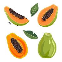 reeks van sappig en gezond geel groen papaja en plakjes geïsoleerd Aan wit achtergrond. gesneden fruit illustratie in vlak stijl. zomer clip art voor ontwerp van kaart, banier, folder, uitverkoop, poster vector