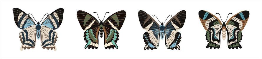 verzameling van kleurrijk vlinders, top visie. reeks van kleurrijk motten met antennes. vector
