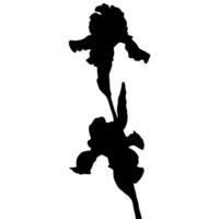 iris bloem silhouet vector