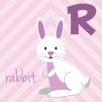 schattig tekenfilm dierentuin geïllustreerd alfabet met grappig dieren. r voor konijn. Engels alfabet. leren naar lezen. geïsoleerd illustratie. vector