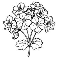 geranium bloem boeket schets illustratie kleur boek bladzijde ontwerp, geranium bloem boeket zwart en wit lijn kunst tekening kleur boek Pagina's voor kinderen en volwassenen vector