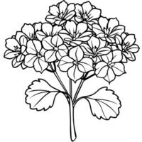 geranium bloem boeket schets illustratie kleur boek bladzijde ontwerp, geranium bloem boeket zwart en wit lijn kunst tekening kleur boek Pagina's voor kinderen en volwassenen vector