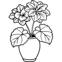 geranium bloem Aan de vaas schets illustratie kleur boek bladzijde ontwerp, geranium bloem Aan de vaas zwart en wit lijn kunst tekening kleur boek Pagina's voor kinderen en volwassenen vector