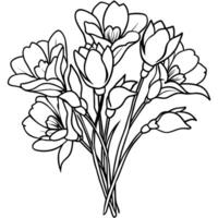 freesia bloem boeket schets illustratie kleur boek bladzijde ontwerp, freesia bloem boeket zwart en wit lijn kunst tekening kleur boek Pagina's voor kinderen en volwassenen vector