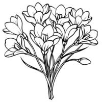 freesia bloem boeket schets illustratie kleur boek bladzijde ontwerp, freesia bloem boeket zwart en wit lijn kunst tekening kleur boek Pagina's voor kinderen en volwassenen vector