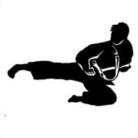 karate silhouet logo icoon vector