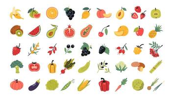 fruit, groenten en bessen reeks in tekenfilm stijl. gezond aan het eten, vers voedsel. modieus modern illustratie geïsoleerd Aan wit achtergrond, hand- getrokken, vlak ontwerp vector