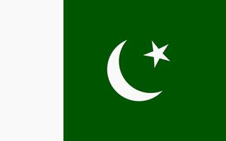 illustratie van de vlag van Pakistan. vector