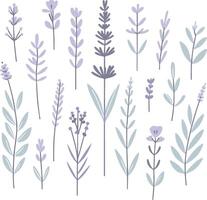 minimalistisch vlak lavendel zomer illustratie Aan een wit achtergrond, geïsoleerd vector