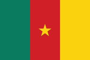 afbeelding van Kameroen vlag. Kameroen vlag. nationaal vlag van kameroen. Kameroen vlag illustratie. Kameroen vlag afbeelding. Kameroen vlag beeld vector