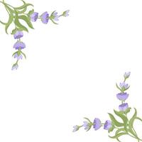 decoratief kader van lavendel bloemen voor uw ontwerp. illustratie geïsoleerd Aan wit achtergrond. vector