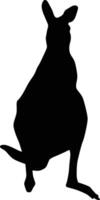 silhouet van kangoeroe dier illustratie in zwart kleur vector