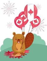 bever met canadese ballonnen vector design