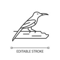 karmozijnrode sunbird lineaire pictogram. tropische Aziatische vogel. nationaal symbool van singapore. inwonende fokker. dunne lijn aanpasbare illustratie. contour symbool. vector geïsoleerde overzichtstekening. bewerkbare streek