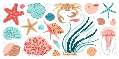 hand- getrokken tekenfilm zee leven elementen set. aquatisch dieren, anemonen, krab, kwallen, algen, schelpen, zeester, zee paard. modieus vlak tekening reeks onderwater- ecosysteem illustratie vector