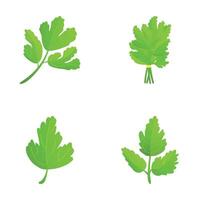 peterselie blad pictogrammen reeks tekenfilm . vers groen peterselie vector