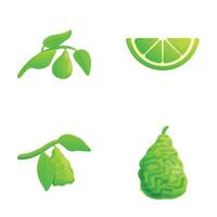 limoen fruit pictogrammen reeks tekenfilm . vers biologisch groen citrus vector