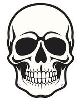 zwart en wit menselijk schedel kunst, icoon, logo vector