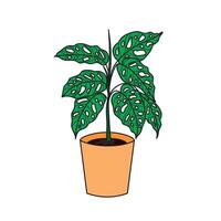 monstera bloem afbeelding. vector