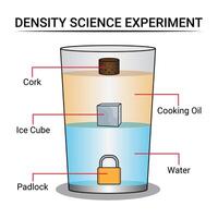 dichtheid experiment met water en olie vector