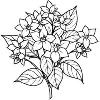 jasmijn bloem boeket schets illustratie kleur boek bladzijde ontwerp, jasmijn bloem boeket zwart en wit lijn kunst tekening kleur boek Pagina's voor kinderen en volwassenen vector