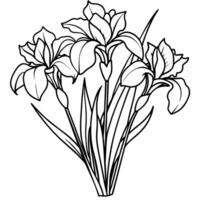 iris bloem boeket schets illustratie kleur boek bladzijde ontwerp, iris bloem boeket zwart en wit lijn kunst tekening kleur boek Pagina's voor kinderen en volwassenen vector