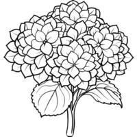 hortensia bloem boeket schets illustratie kleur boek bladzijde ontwerp, hortensia bloem boeket zwart en wit lijn kunst tekening kleur boek Pagina's voor kinderen en volwassenen vector