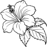hibiscus bloem fabriek illustratie kleur boek bladzijde ontwerp, hibiscus hibiscus bloem fabriek en wit lijn kunst tekening kleur boek Pagina's voor kinderen en volwassenen vector