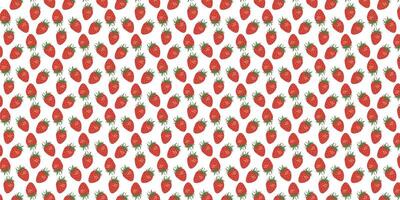 naadloos patroon met rood aardbeien, met elk aardbei gedetailleerd in levendig tinten van rood en groen Aan een geïsoleerd wit achtergrond. het is hand getekend illustraties. vector