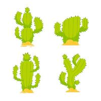 reeks van helder cactussen. tekenfilm cactus set. decoratief huis planten vector