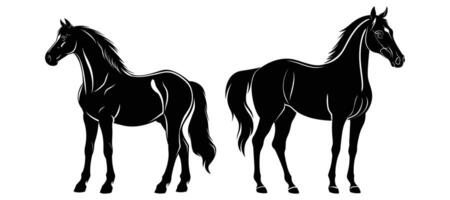 paard silhouet geïsoleerd Aan een wit achtergrond. vector