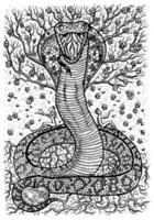 slang symbool met vooravond, agam, boom van kennis en bloemen vector