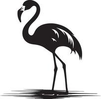 flamingo silhouet illustratie wit achtergrond vector