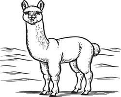 alpaca kleur Pagina's. alpaca dier schets voor kleur boek. dieren lijn kunst vector