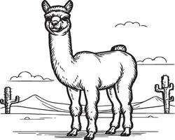 alpaca kleur Pagina's. alpaca dier schets voor kleur boek. dieren lijn kunst vector