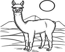 alpaca kleur Pagina's. alpaca dier schets voor kleur boek. dieren lijn kunst vector