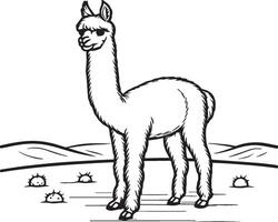 alpaca kleur Pagina's. alpaca dier schets voor kleur boek. dieren lijn kunst vector