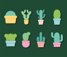 set van acht cactuspictogrammen op een groene achtergrond vector