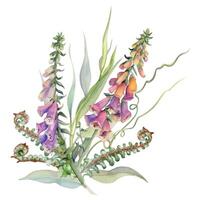 hand- getrokken waterverf illustratie botanisch bloemen bladeren. wilg eucalyptus tak, ranken, varen schiet, vingerhoedskruid leeuwenbek lupine. boeket geïsoleerd wit achtergrond. ontwerp bruiloft, liefde kaarten vector