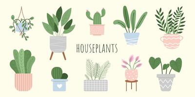 kamerplanten. reeks van huis planten in potten. huis groen decoratie. bloeiend ingemaakt planten. modieus huis decor met bloemen. vlak illustraties geïsoleerd Aan wit achtergrond. vector