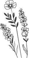 geboorte bloem april madeliefje en zoet erwt lijn tekening, bloem zoet lijn kunst huis decor doorlopend lijn muur kunst zwart en wit, gedrukt bloemen poster botanisch kunst vector