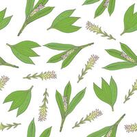 botanisch naadloos patroon met groen kurkuma bladeren en bloeiwijzen hand- getrokken Aan wit achtergrond. backdrop met prachtig geneeskrachtig bloeiend fabriek. kleurrijk natuurlijk illustratie. vector