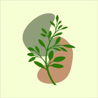 blad groen room vector