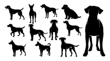 silhouet van hond illustratie vector