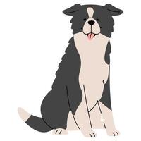 grens collie schattig Aan een wit achtergrond, illustratie. vector