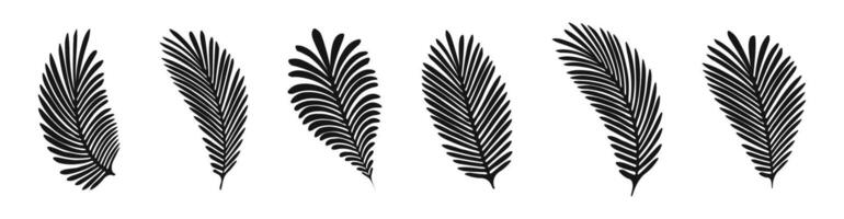 tropisch bladeren set. palm bladeren. palm boom blad set. tropisch bladeren silhouet vector