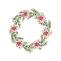 Kerstmis krans met nieskruid bloemen en net takken. winter groen weelderig takje, roze bloem hoofden. ruimte voor tekst. waterverf illustratie. voor ansichtkaart ontwerp, nieuw jaar kaarten, groet vector