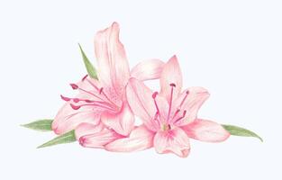 hand getekend bloeiend bloem - voorjaar bloem illustratie vector