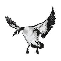 gans jacht- illustratie logo beeld t overhemd vector