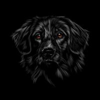 portret van het hoofd van een labrador retriever op een zwarte achtergrond. vectorillustratie van verf vector